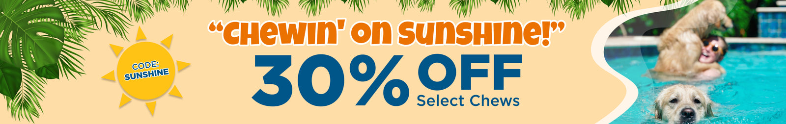Best Dog Deals