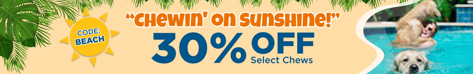 Best Dog Deals