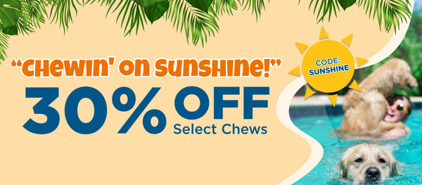 Best Dog Deals