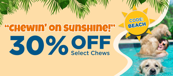 Best Dog Deals