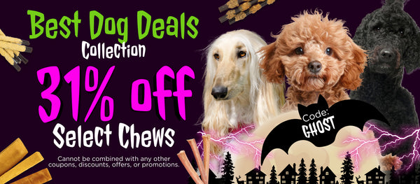 Best Dog Deals