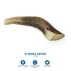 antler included in the power chewer box on a white background