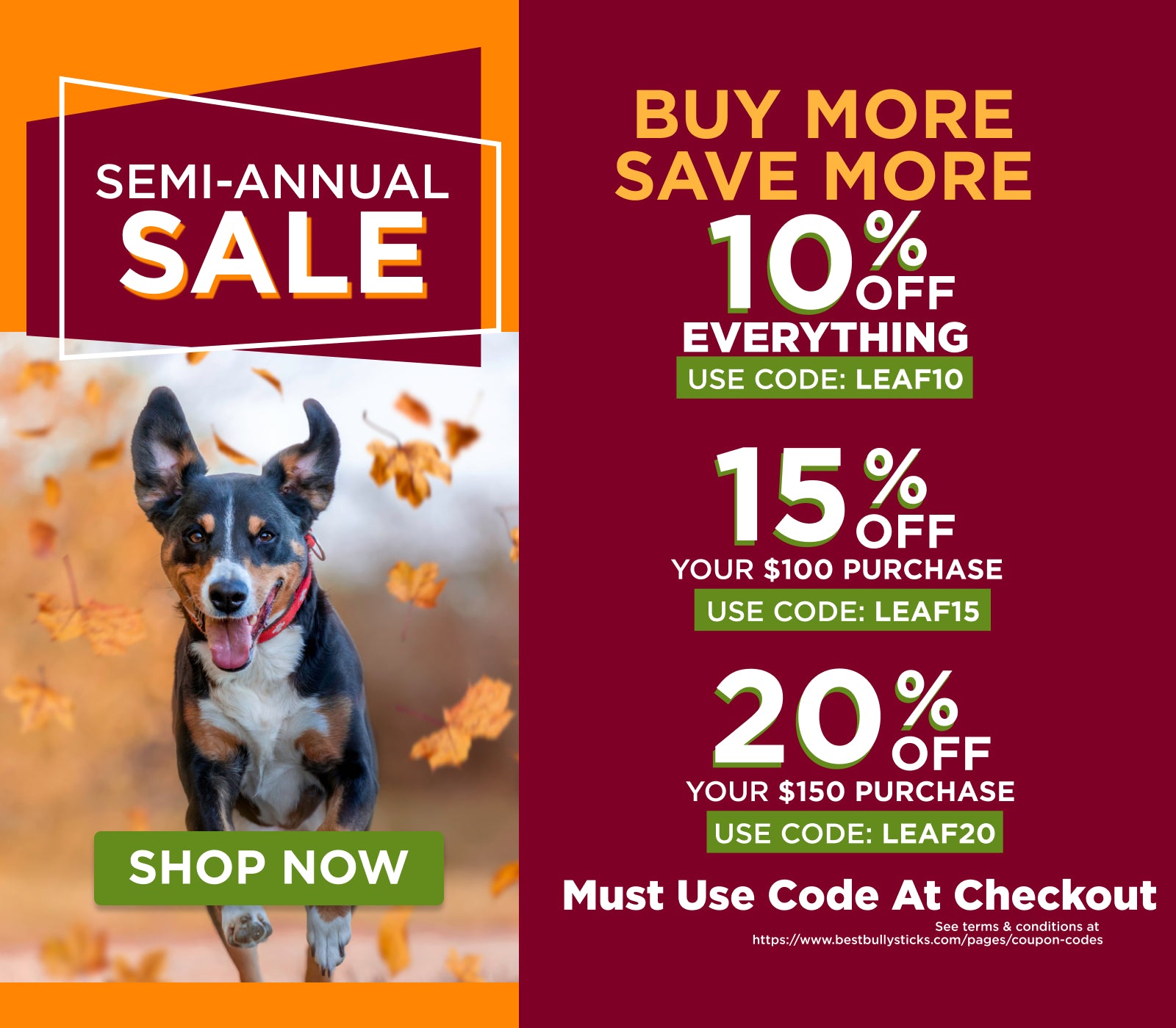 Semi Annual Sale Banner Fall 2023 - Dog running with leaves falling on him