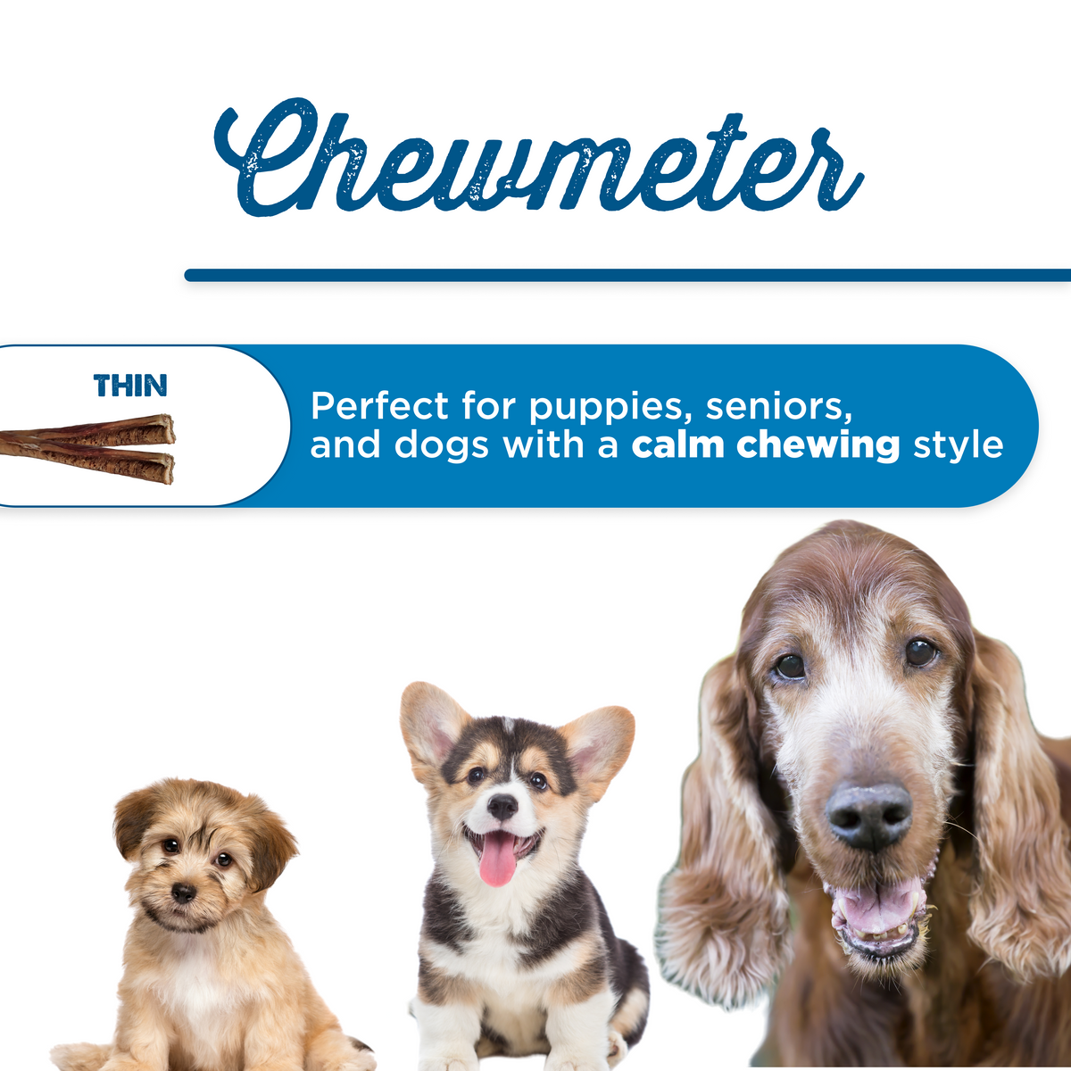 Three dogs of different breeds sit below a &quot;Best Bully Sticks&quot; label, with a description stating 12-Inch Thin Bully Sticks (16 Count) are easily digestible chews 