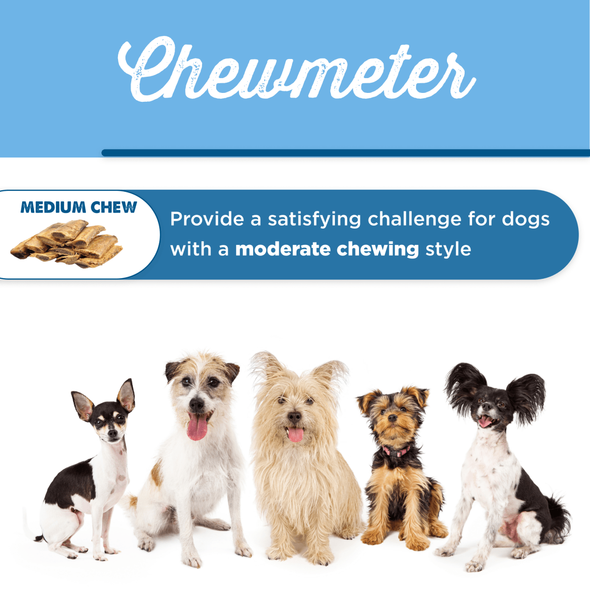 Best chew bones for yorkies hot sale