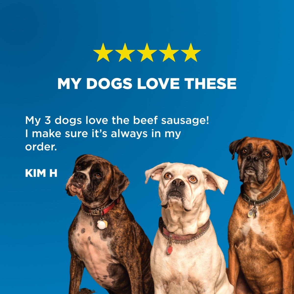 My dogs love Best Bully Sticks Beef Sausage.