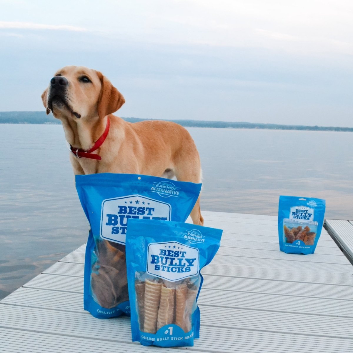 Top Dog Chews 6 Trachea 10 Pack - USA - Australia Top Dog Chews 6 Trachea 10 Pack - USA - Australia