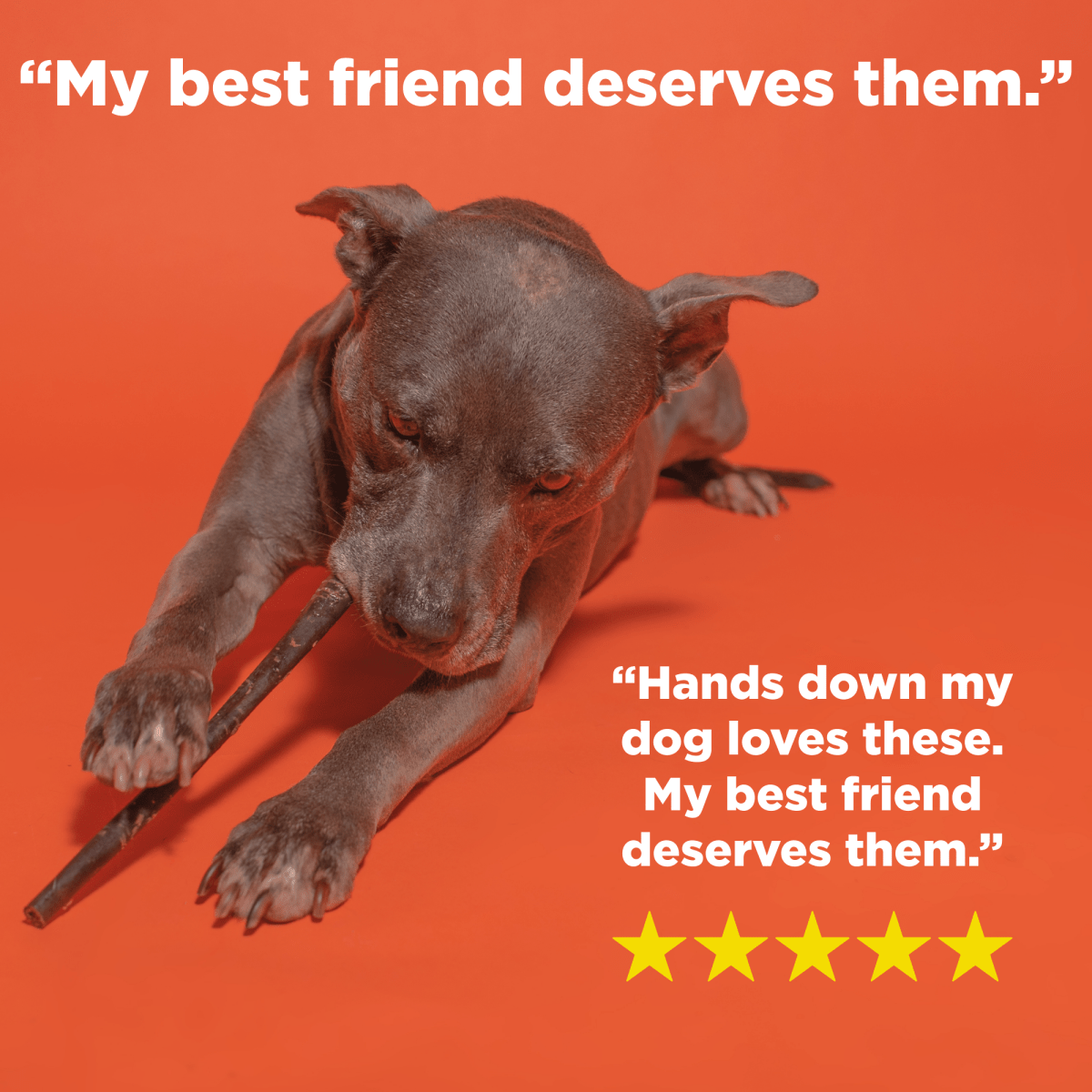 A dog laying on a Best Bully 12-Inch Beef Collagen Stick, with the text, my best friend deserves them.