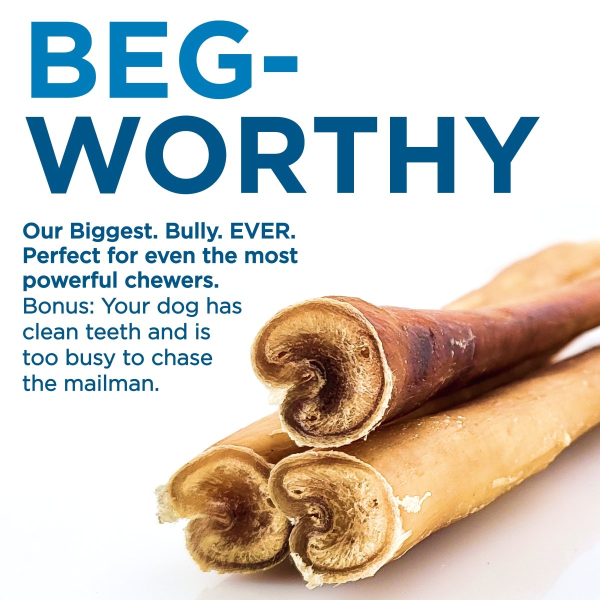 Best Bully Sticks&#39; Biggest Bully Stick Ever - Limited Edition (3 Pack of 12 inch) offers durable dog chews for power chewers, supporting dental health and helping to reduce disruptive behavior.
