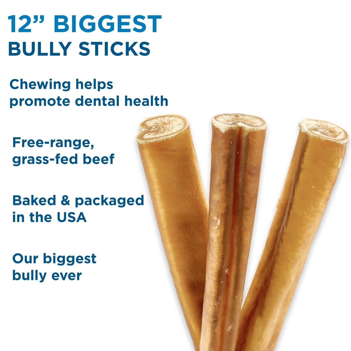 The Biggest Bully Stick Ever (3 Pack of 12 inch) by Best Bully Sticks is shown upright, ideal for power chewers, with text highlighting dental health benefits and that it&#39;s made in the USA from free-range, grass-fed beef.