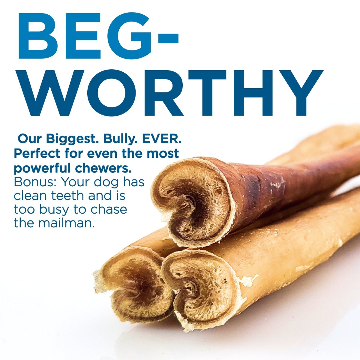 Largest Bully Sticks for Dogs Best Bully Sticks
