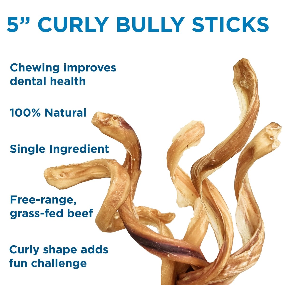 5 Curly Bully Sticks from Best Bully Sticks for dogs.