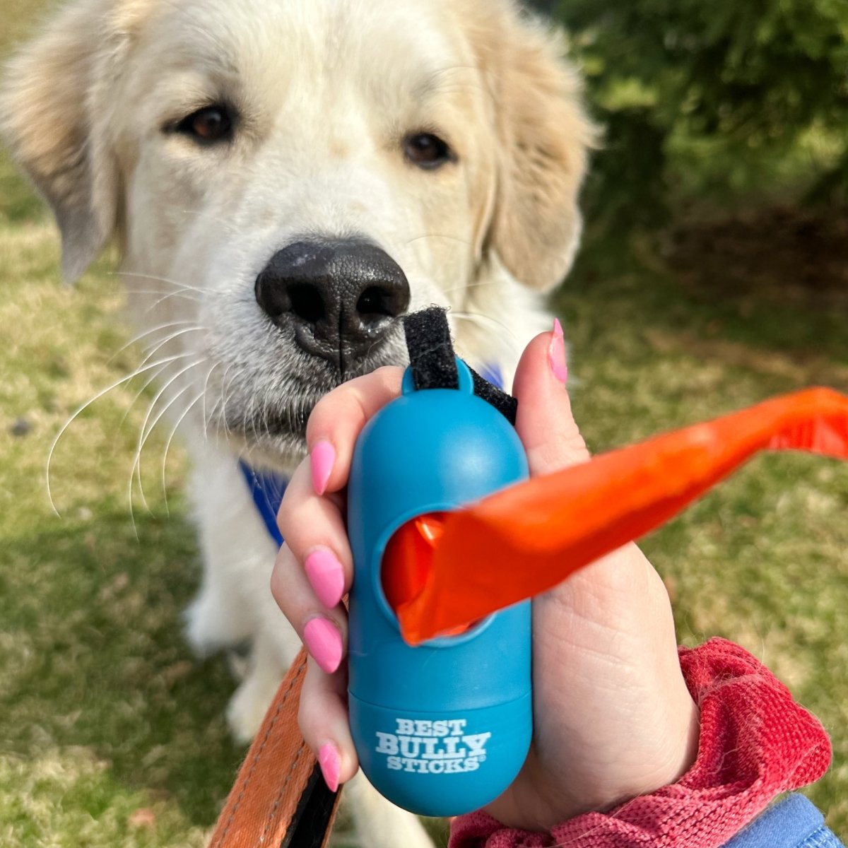 Dog Poop Bag Dispenser Bags