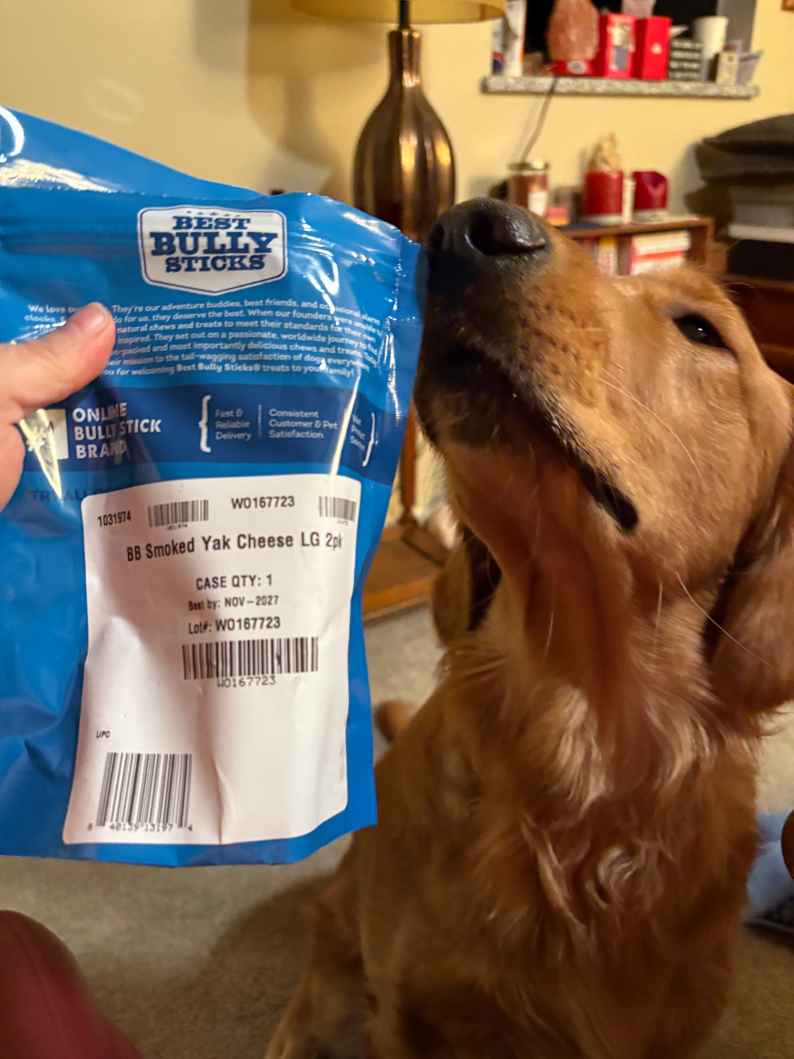 Dog sniffing a blue package labeled 'Best Bully Sticks' in a kitchen setting.