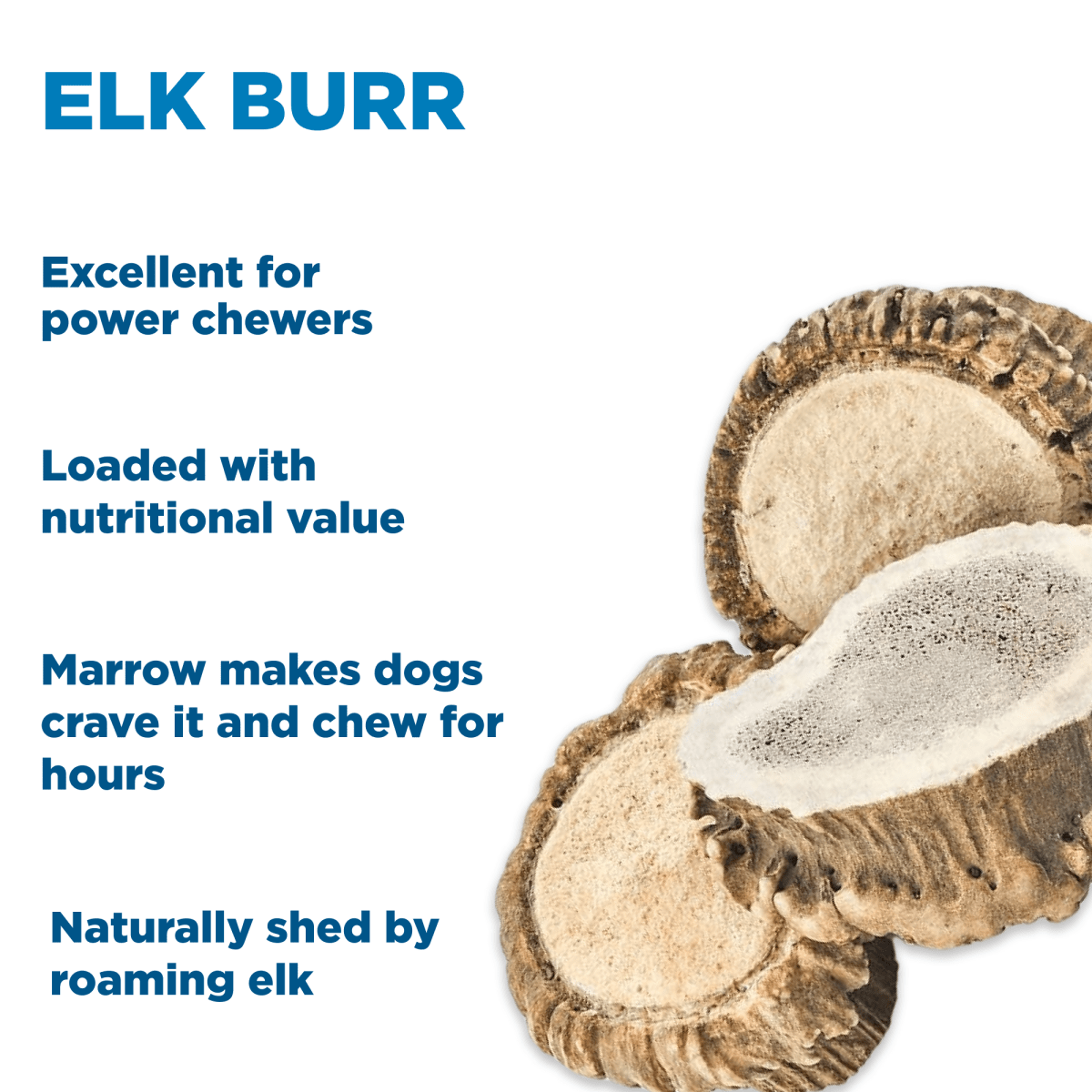 Three Elk Burrs from Best Bully Sticks' 1lb Mixed Bag are shown, with text highlighting their benefits for dogs: durable chews, nutritional value, marrow content, dental support, and being naturally shed by elk.