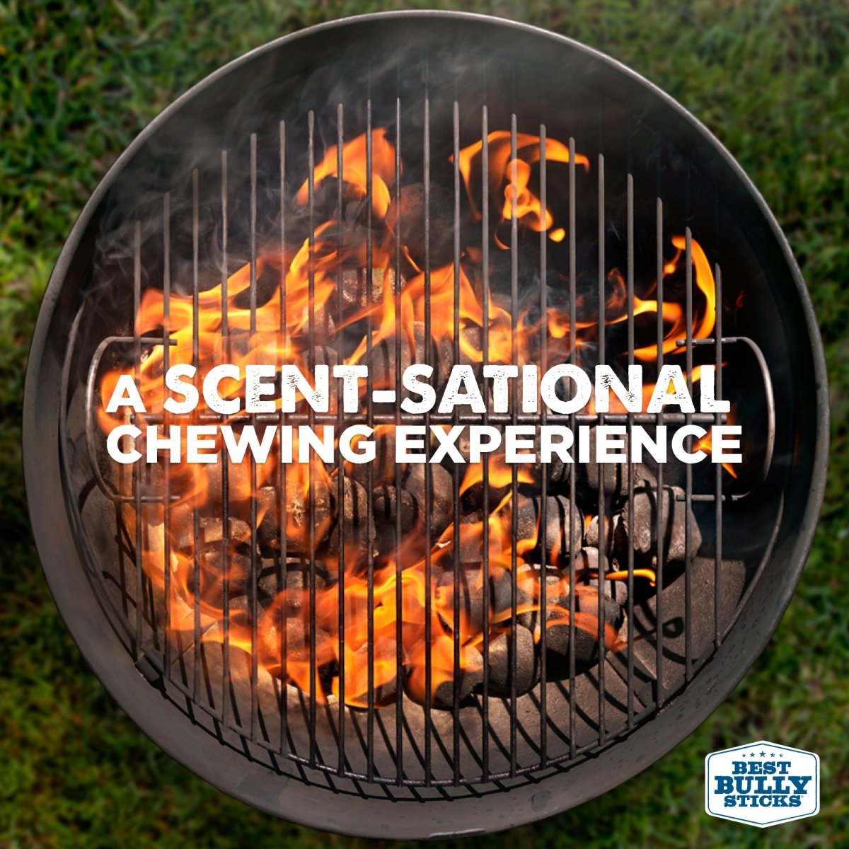 A charcoal grill with flames and coals, featuring the Best Bully Sticks logo and the text &quot;A SCENT-SATIONAL CHEWING EXPERIENCE,&quot; spotlights our Hickory Smoked Beef Jerky Gullet Bites for an irresistible flavor dogs love.
