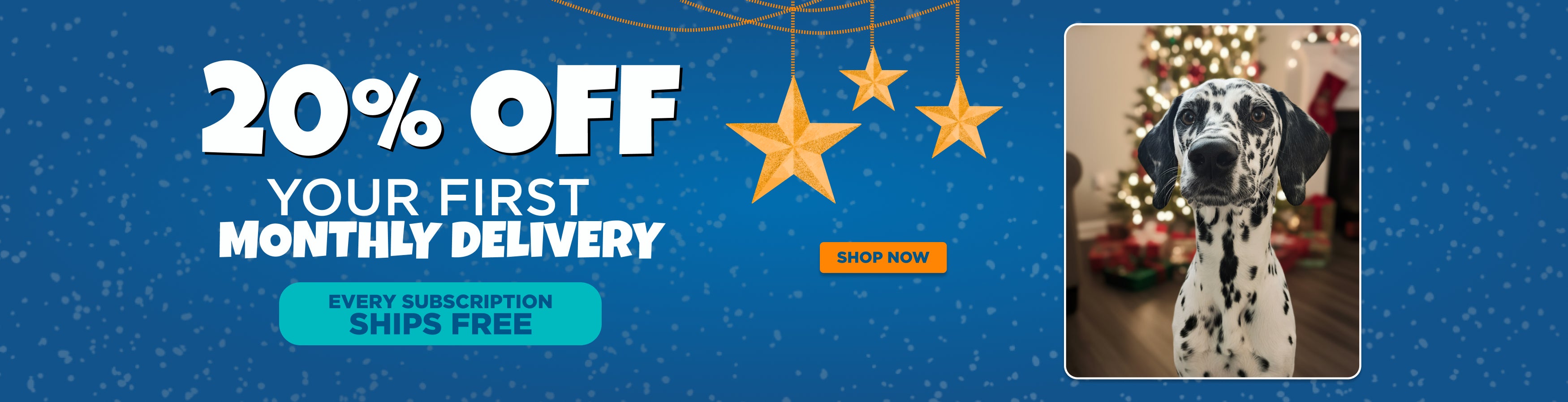 Promotional offer with a Dalmatian dog in front of a Christmas tree, featuring text about a 20% discount on monthly deliveries.