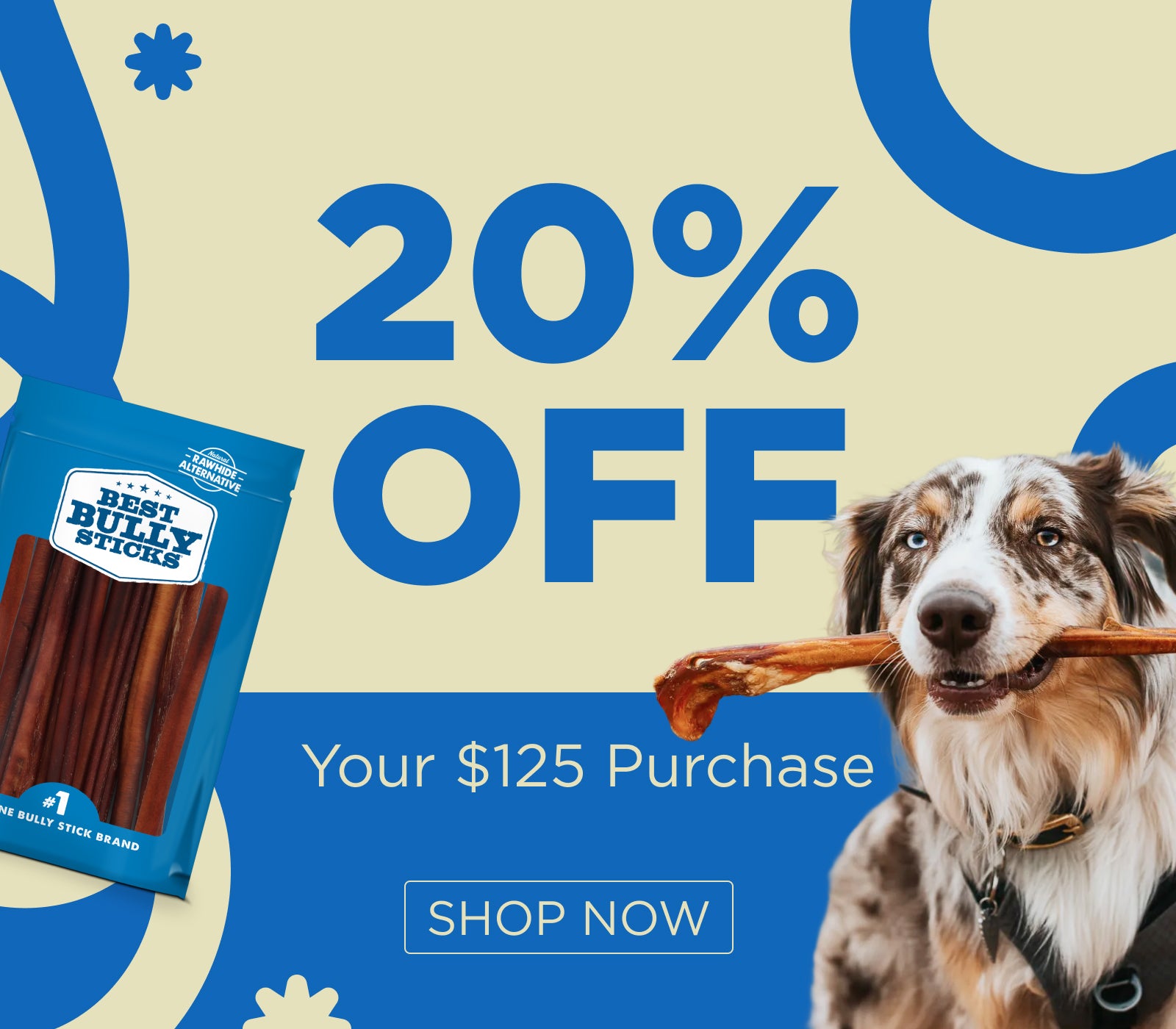 Promotional banner with '20% OFF Your $125 Purchase' offer, a package of bully sticks, and a dog holding a stick.