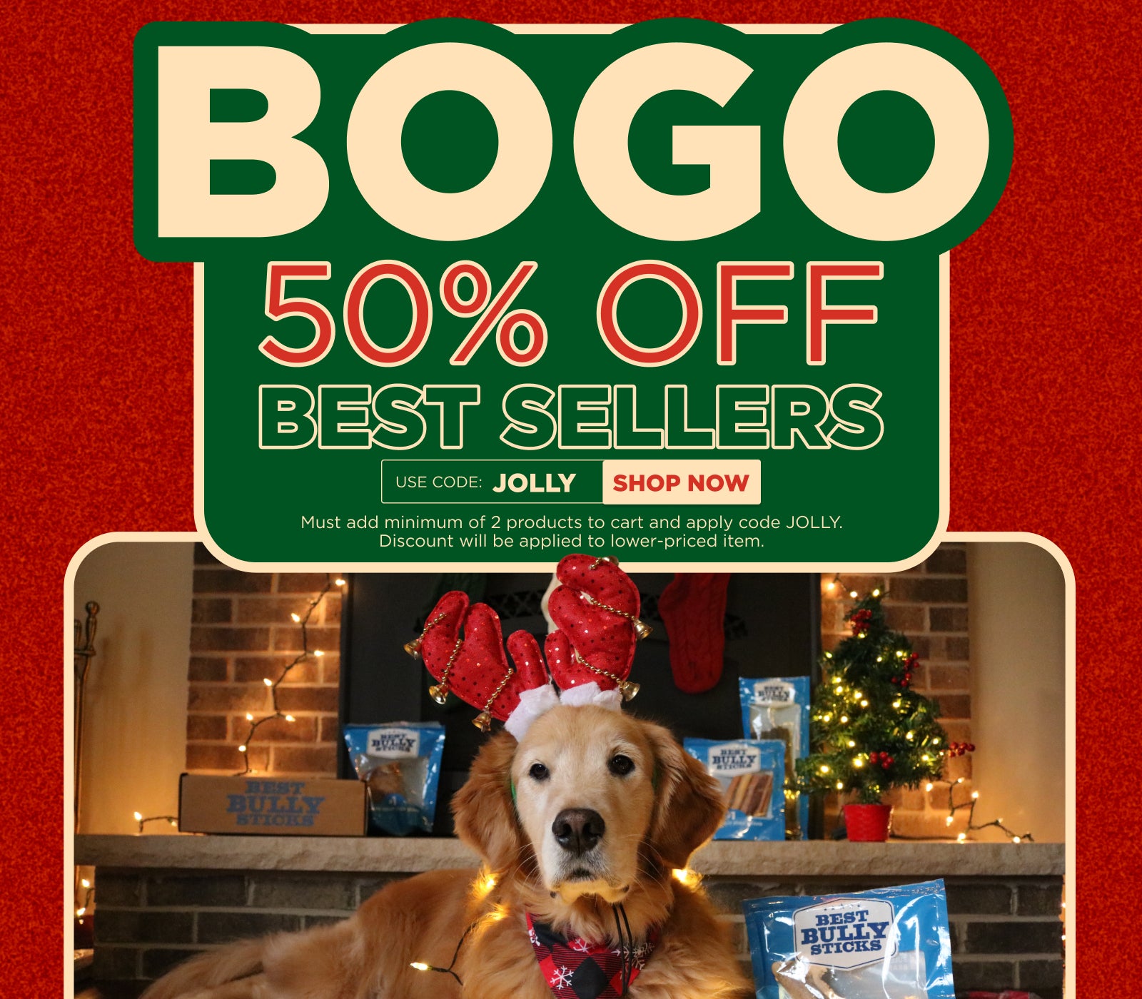 Dog wearing a festive outfit with a BOGO sale sign on a red background