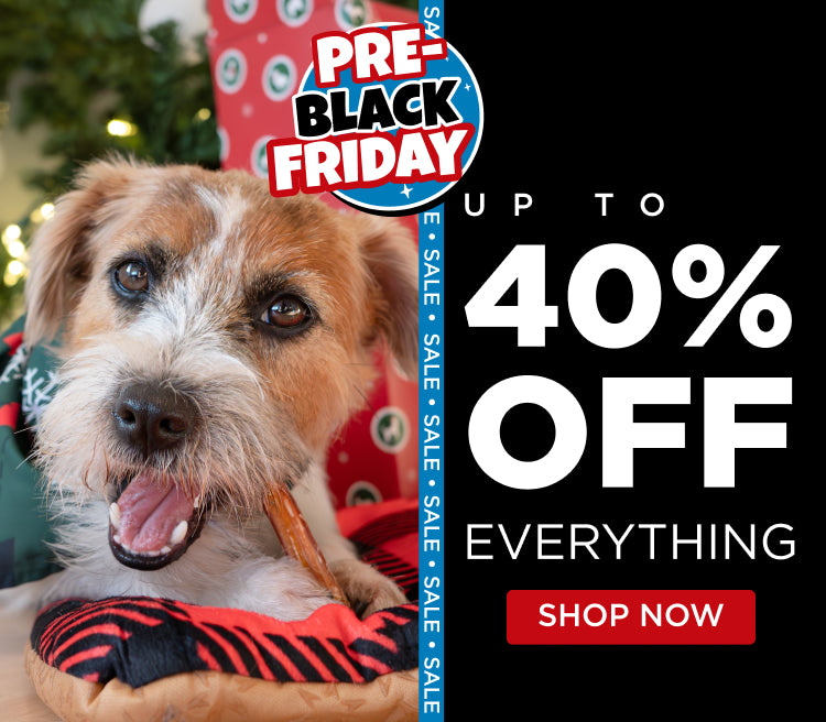 pre-black friday up to 40% off everything