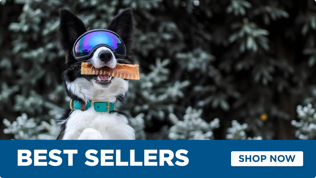 Dog wearing goggles with a treat in its mouth, surrounded by snow-covered trees, with 'Best Sellers' and 'Shop Now' text overlay.