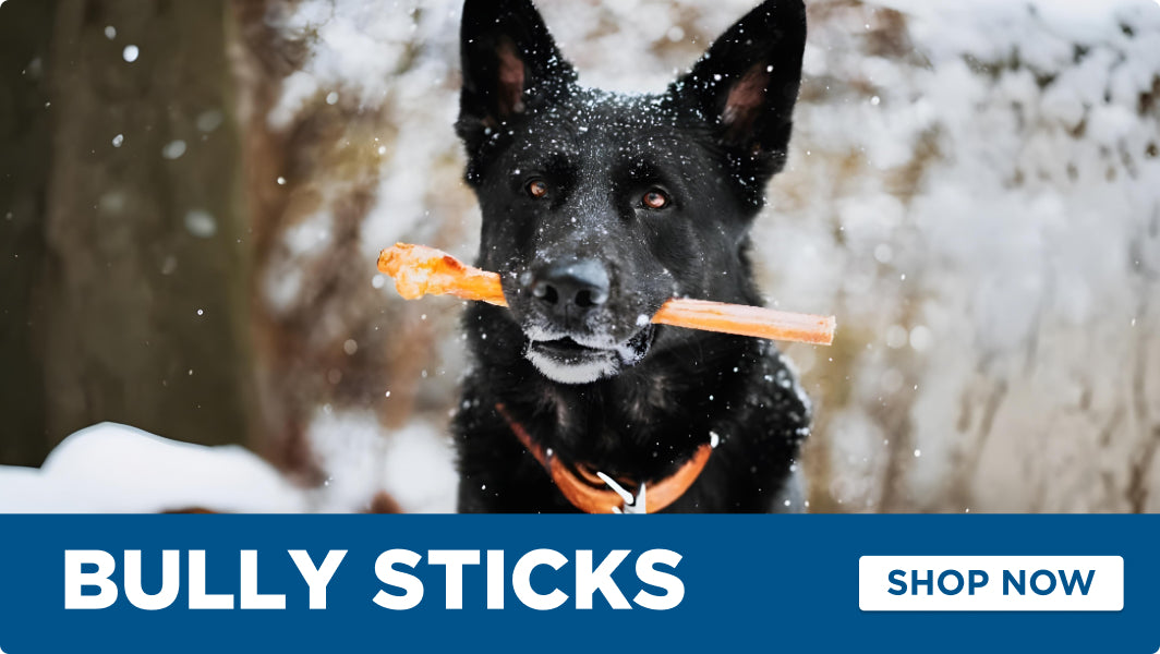 Dog with a bully stick in its mouth against a snowy background, with text promoting bully sticks for sale.