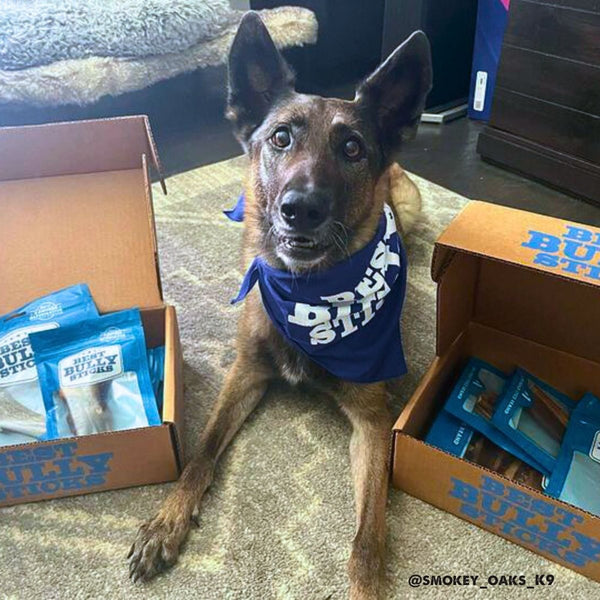 I Love Dog Chew Box Best Bully Sticks