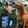 Two dogs enjoying the Best Bully Sticks Large Hickory Smoked Yak Cheese (2 pack) treats.