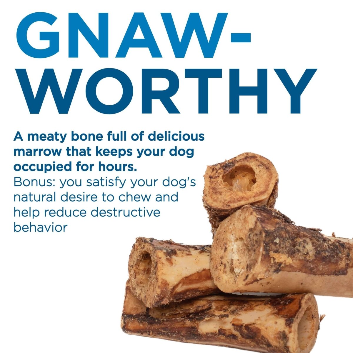 Large marrow bones for dogs outlet