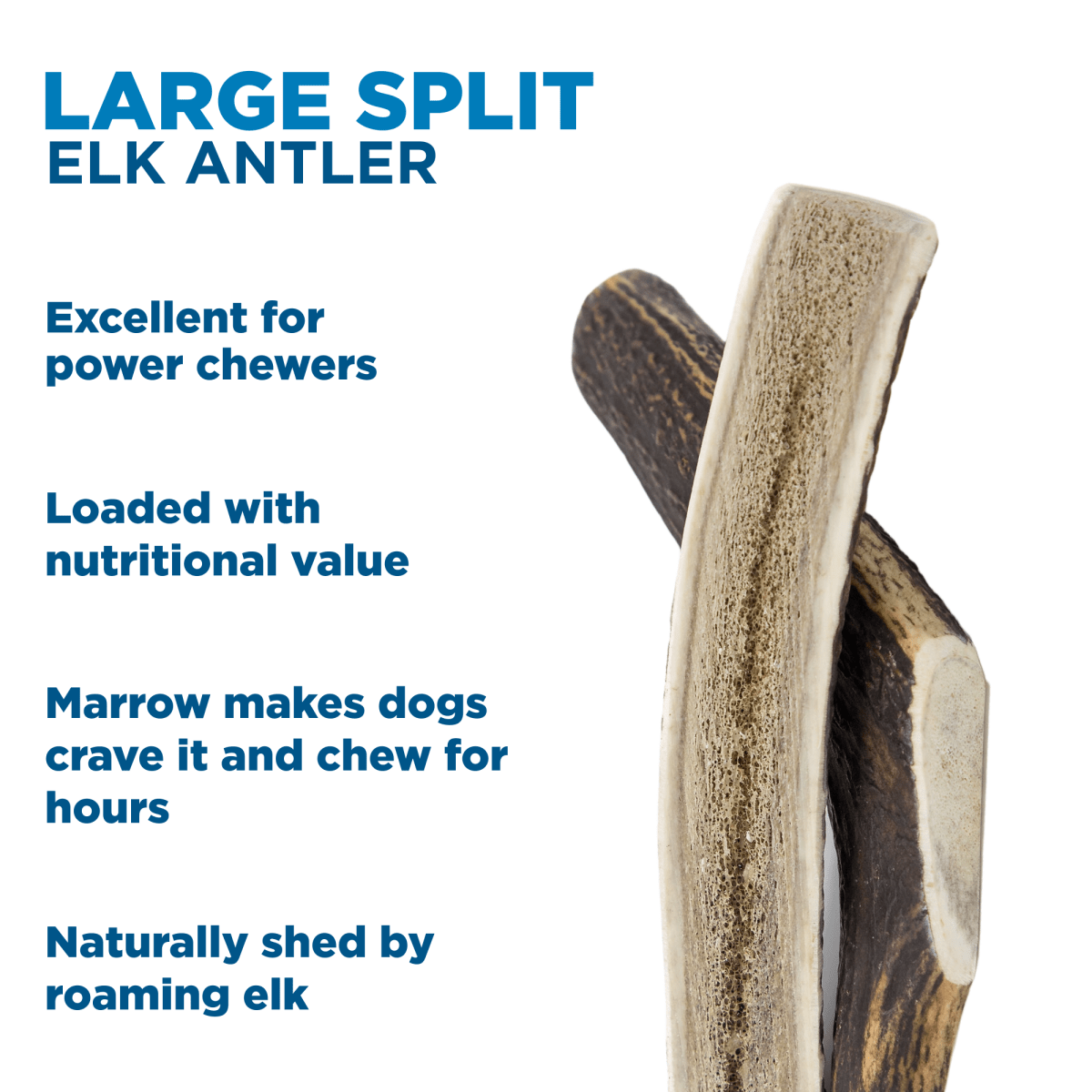 Large antlers for dogs clearance