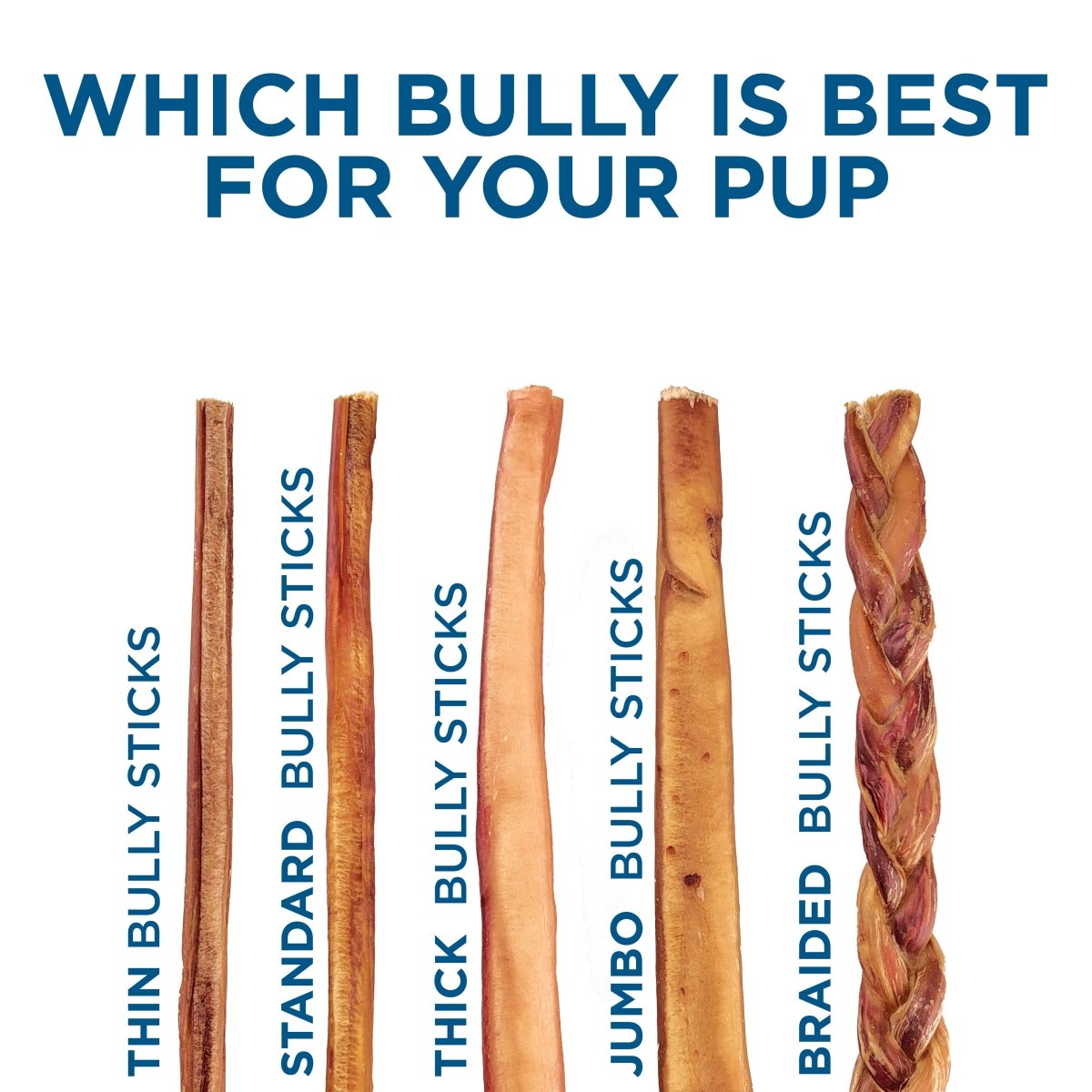 Five types of Best Bully Stick are shown side by side: thin, standard, thick, jumbo, and braided. 