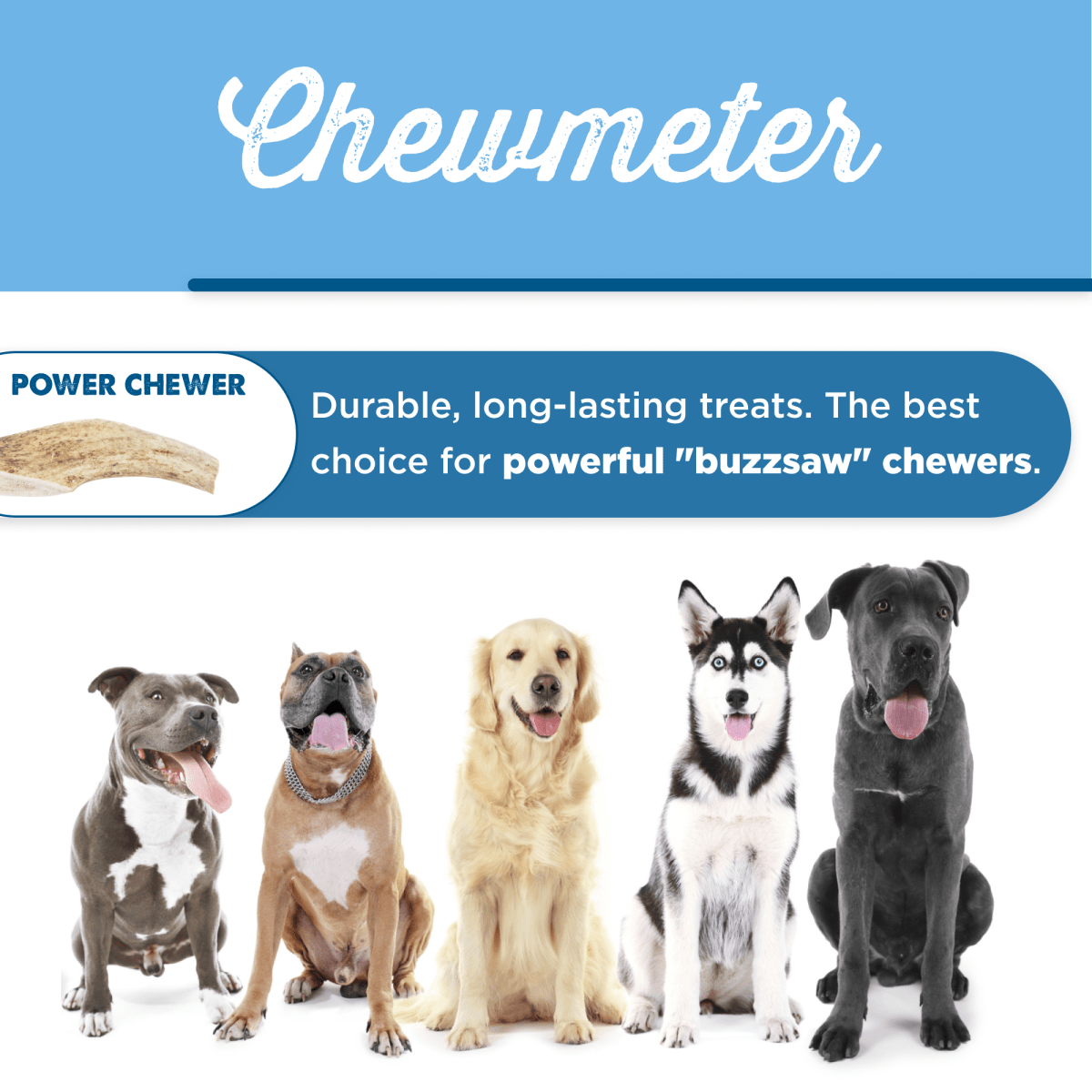 A poster with the words chewemeter. It&#39;s like showcasing the Best Bully Sticks Medium Whole Elk Antler (1 Count) on display.