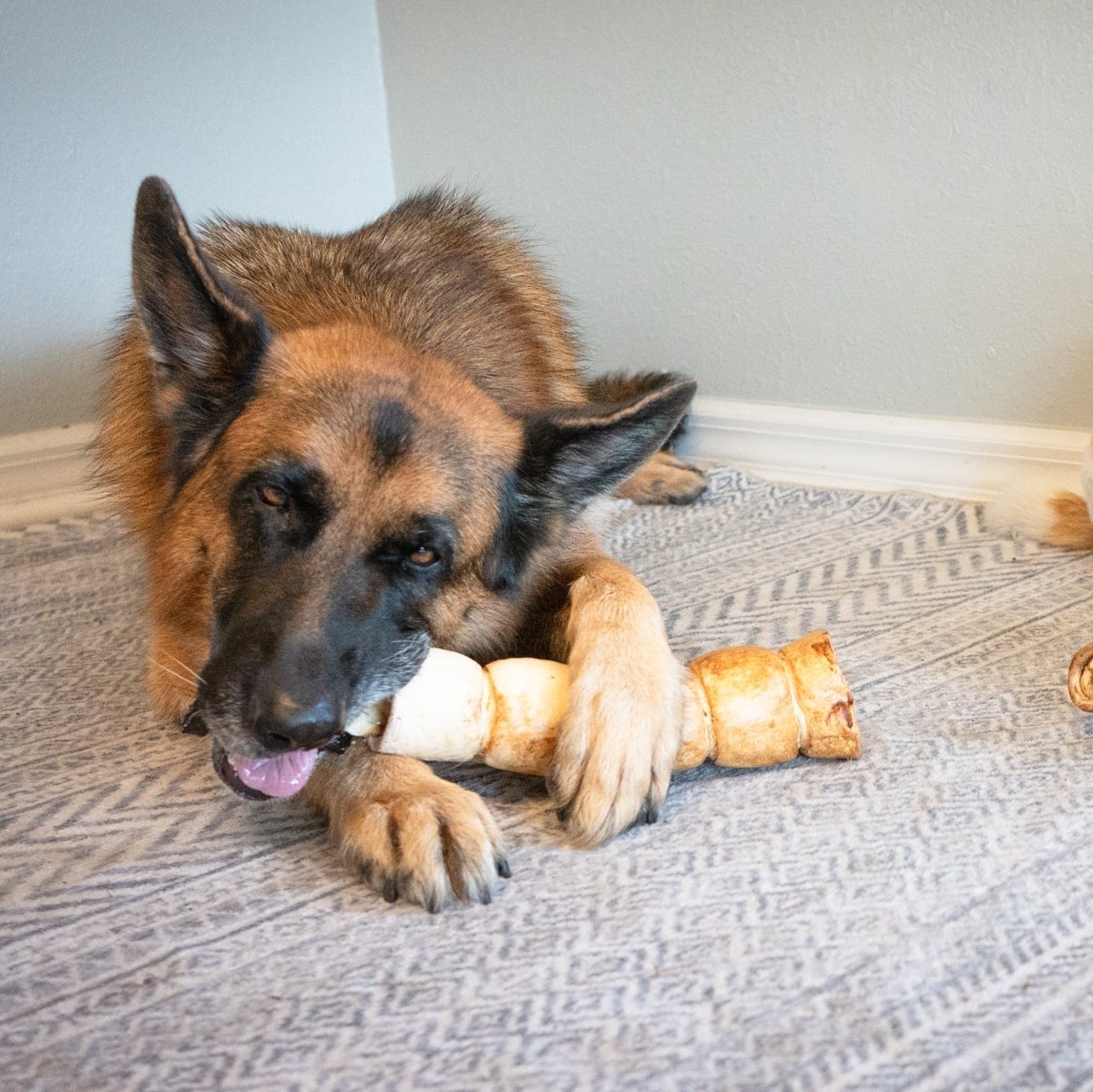 DOG WITH PEANUT BUTTER BEEF CHEEK