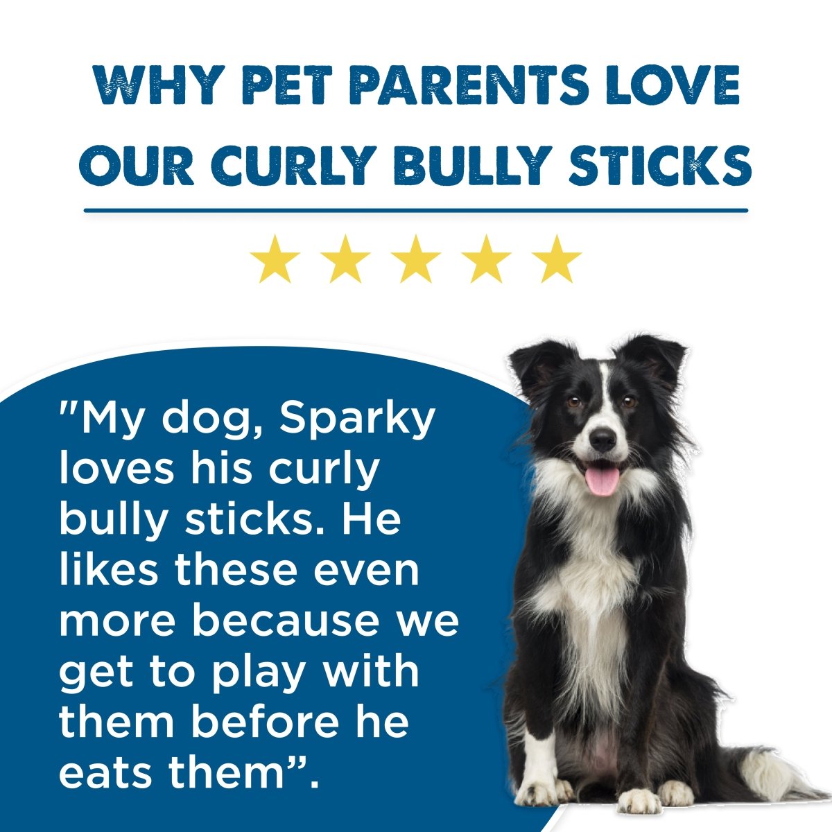 A black and white dog sits beside a glowing five-star review with bold headline text for Best Bully Sticks Premium 5-6 Inch Curly Bully Sticks, made from natural beef pizzle.