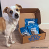 A dog standing in front of a box of Best Bully Sticks Sampler Box.