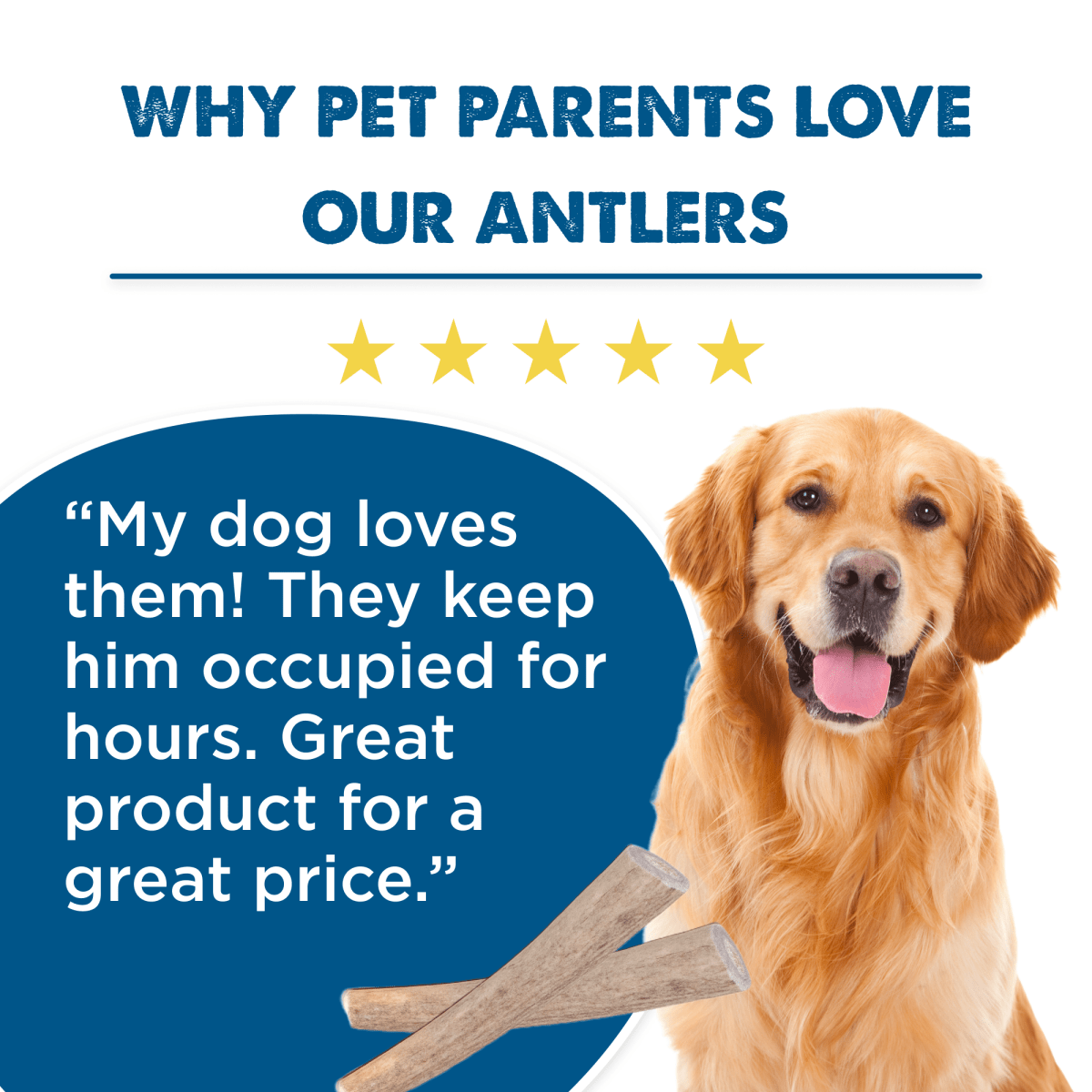 Why pet parents love our Best Bully Sticks Small Whole Deer Antler (1 Count).