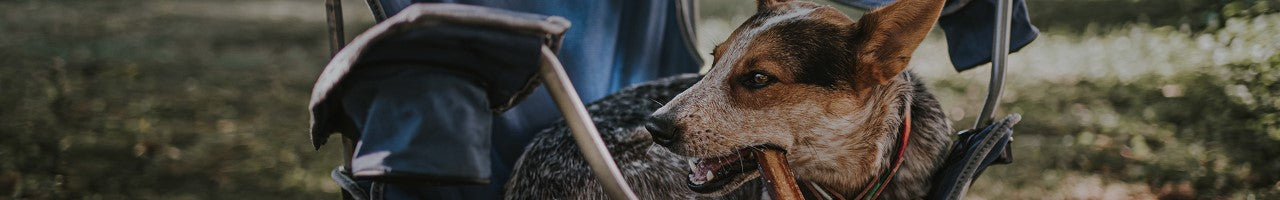 Grain Free Dog Treats