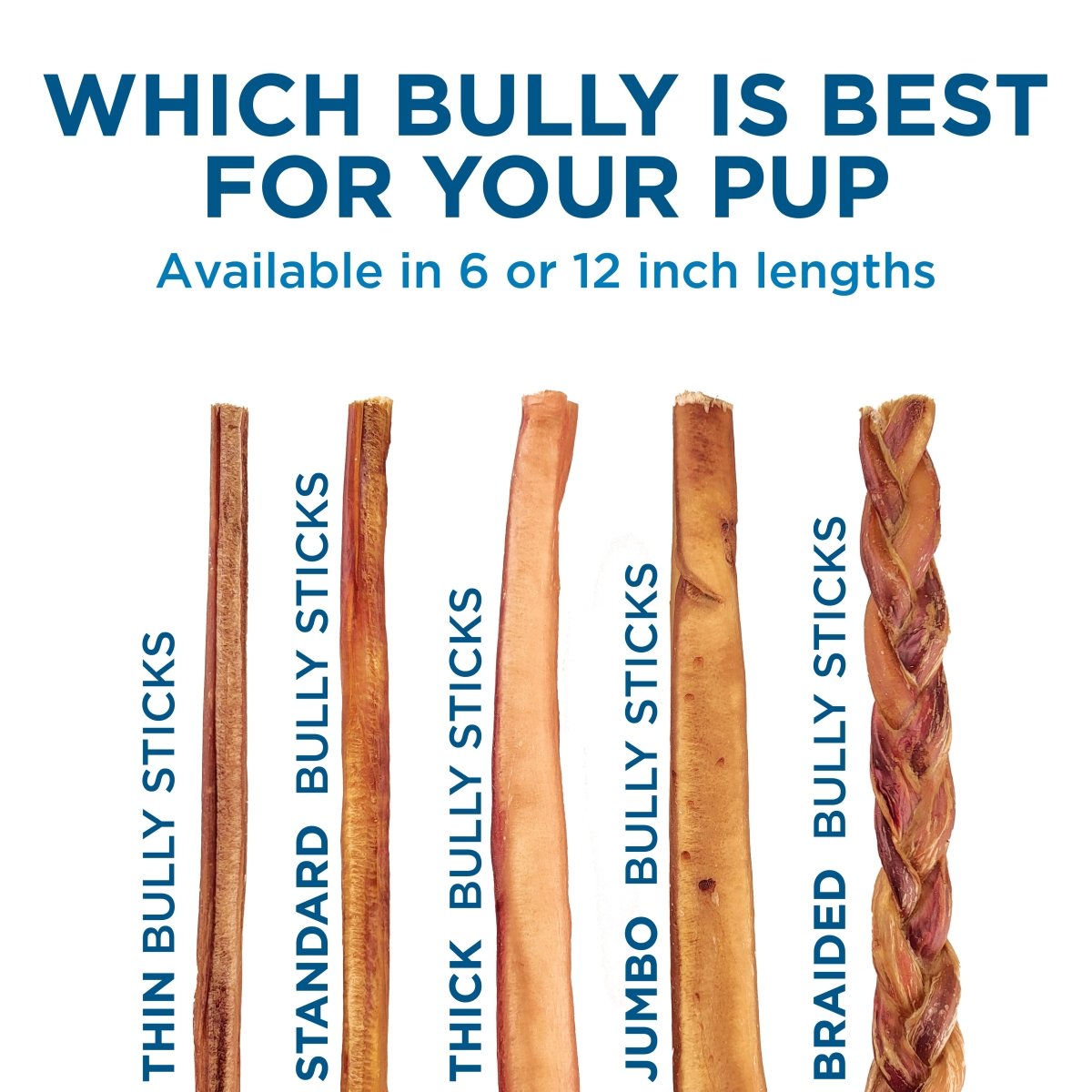 Best Bully Sticks, made from natural beef from free-range cattle, is shown upright against a white background with text displaying available size options for dogs.