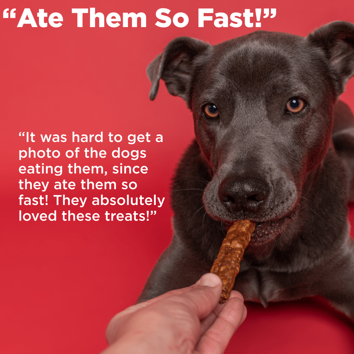 A blue package labeled "Best Bully Sticks" displays Wild Hare Sausage inside, featuring text such as "#1 Online Bully Stick Brand" and "Rawhide Alternative," emphasizing its all-natural dog chew quality.