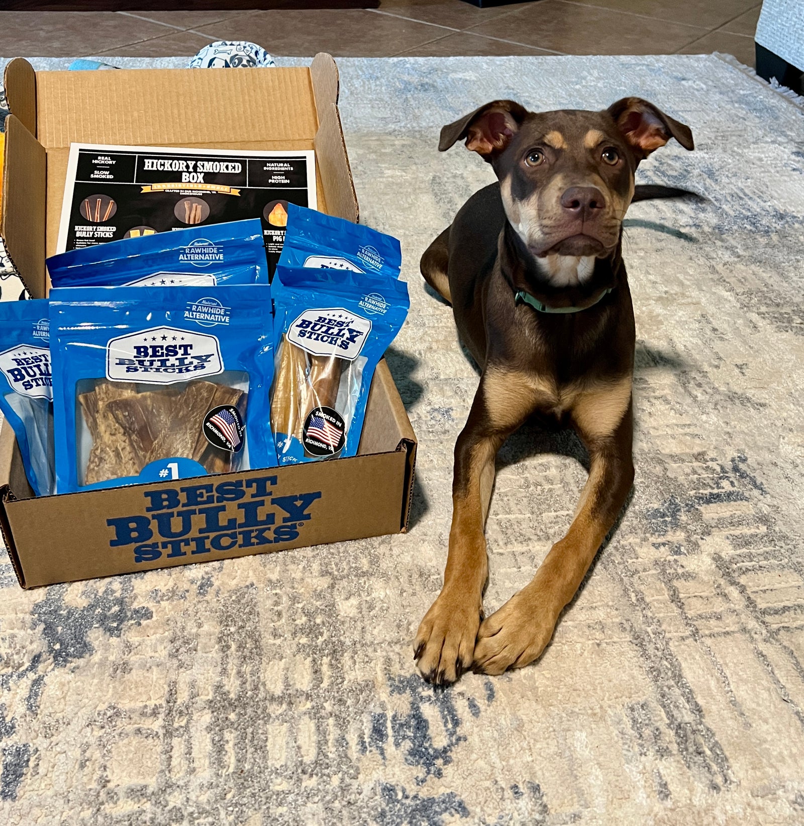 Dog sitting next to a box of Best Bully Sticks on a carpeted floor.