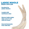 Large whole deer antlers are now available in the Best Bully Sticks brand as the Large Whole Deer Antler (1 Pack).