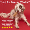 A dog chewing on a XL Himalayan Golden Yak Cheese Odor-Free (3 Pack) bone from Best Bully Sticks with the text last for days or weeks.