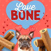 A dog with a Love Bone Heart Shaped Dog Chew and sticks in front of a valentine&#39;s day background. (Brand Name: Best Bully Sticks)