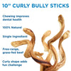 10 10-Inch Curly Bully Sticks for dogs by Best Bully Sticks.