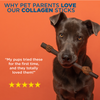 Why pet parents love our Best Bully Sticks Beef Collagen Thick Ring.