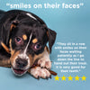 A Bully Stick and Gummy Stick Snacks Packs from Best Bully Sticks are laying on a blue background with the words smiles on their faces.