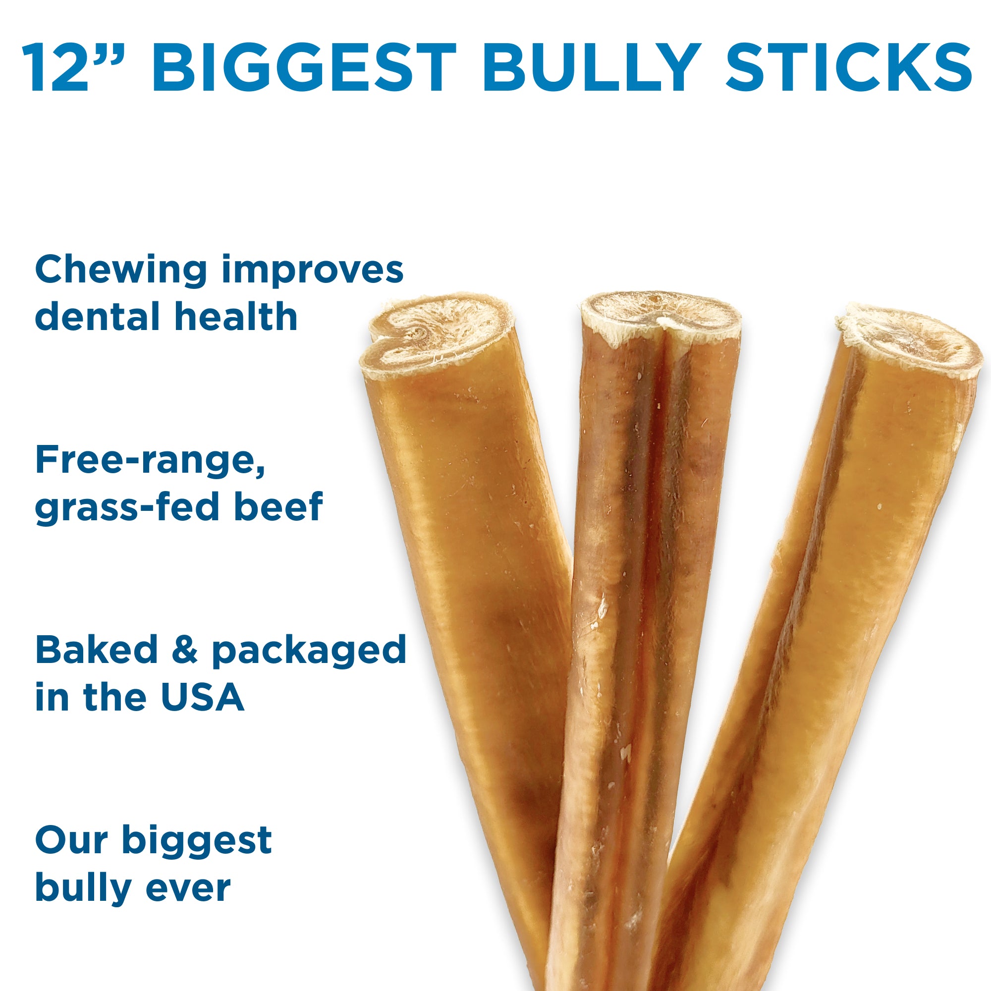 12-Inch Jumbo Bully Stick