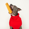 A dog wearing a red sweater with Himalayan Golden Yak Cheese Odor-Free (Mixed 3 Pack) by Best Bully Sticks in its mouth.