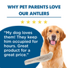 Why pet parents love our Large Split Elk Antler (1 Count) by Best Bully Sticks.