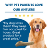 Why pet parents love our Large Whole Elk Antler (1 Count) from Best Bully Sticks.